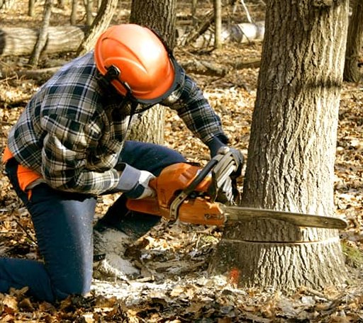 Tree Removal in Liberty, NC
